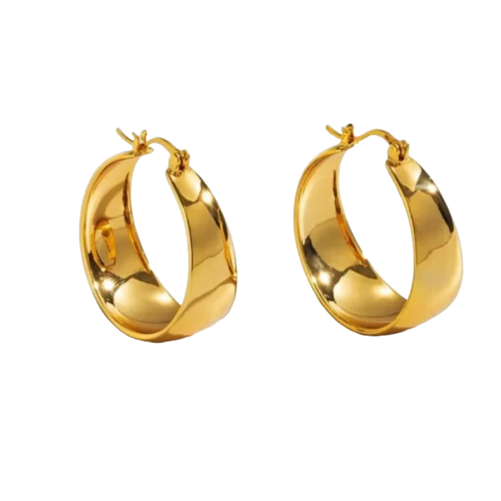 Fashion Geometric Hoop Earrings